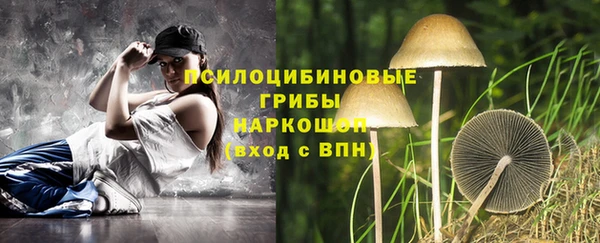 мяу мяу кристалл Няндома