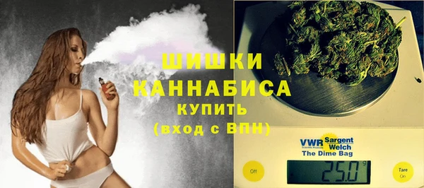 мяу мяу кристалл Няндома