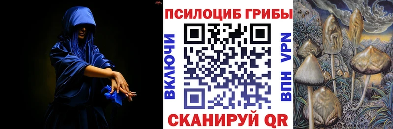 Псилоцибиновые грибы Psilocybe  Торжок 