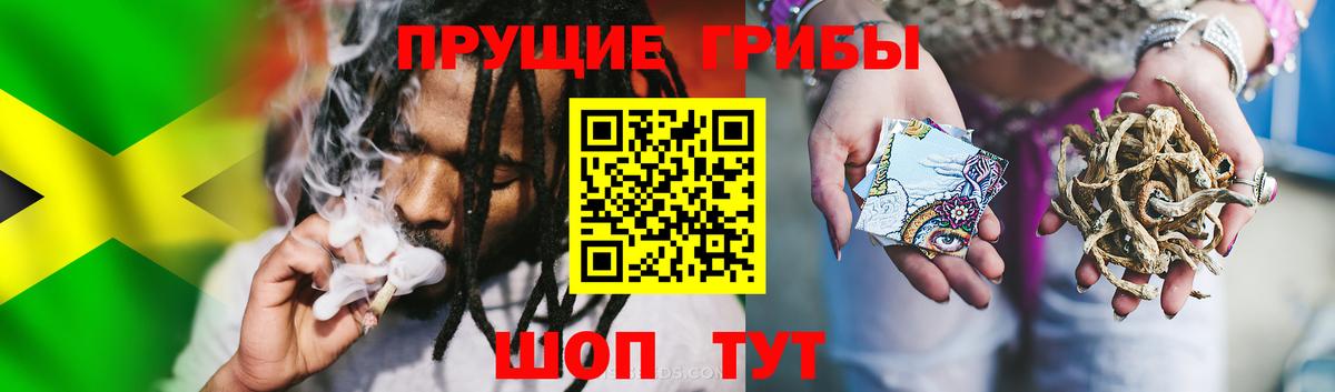 Псилоцибиновые грибы прущие грибы  Вход с VPN  Торжок 